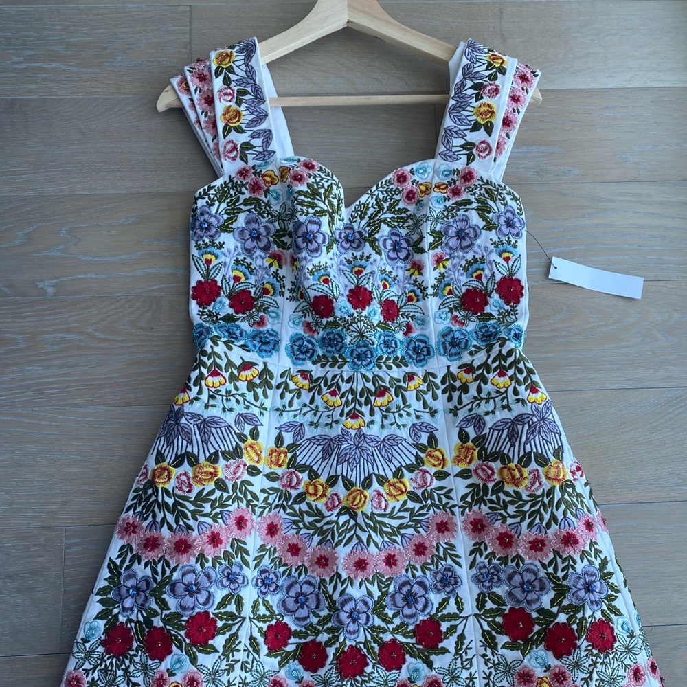Alice + Olivia Embroidery Dress